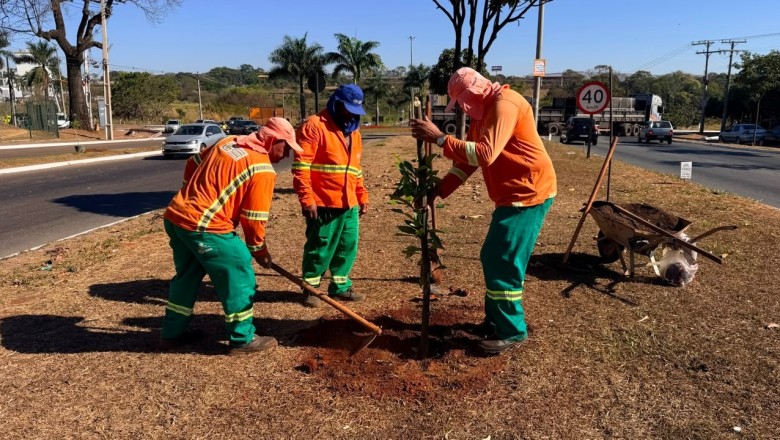 Goiânia planta mais de mil árvores em 27 dias e prepara nova etapa com 551 mudas